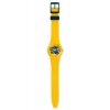 SWATCH POUSSIN
